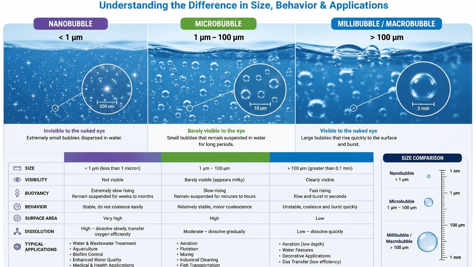 Bubble Comparison